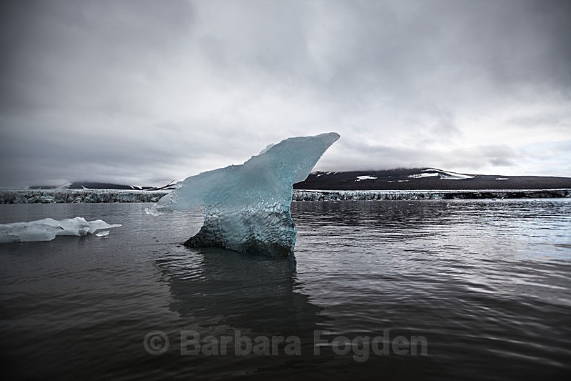 Iceberg 7720 - Trip with MS Expedition August 2016
