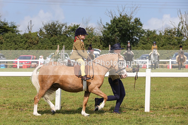 1X9A3588 - Class 29: Lead Rein SP/SHP