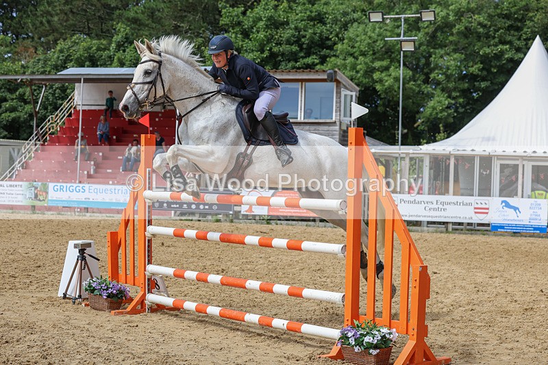 3E7A7546 - Class 9: Senior Foxhunter/1.20 open