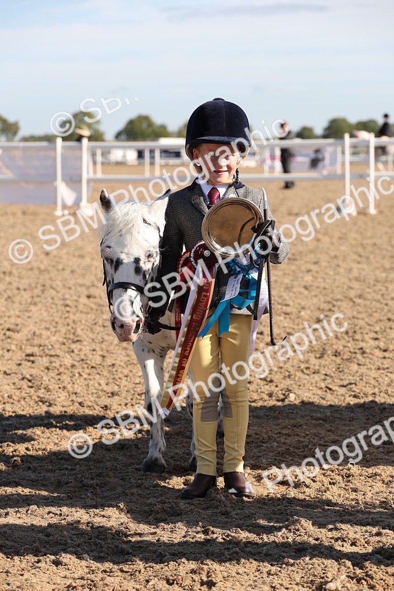SBM_11691 - Class 203 - Young Handler 11 to 16 years