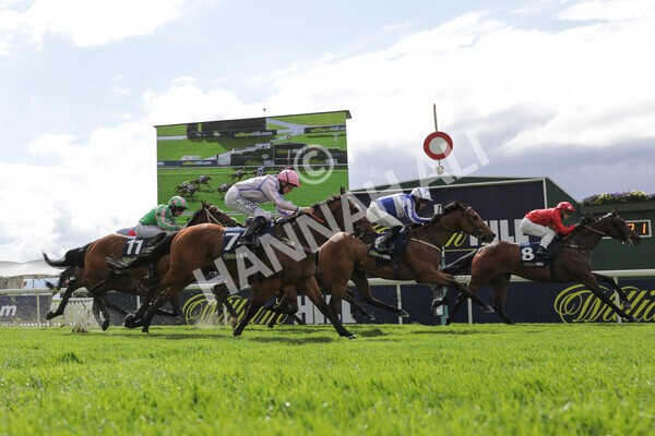 yr22052021r4-36 - Race 4 3.50pm WilliamHill.com Best Odds Guaranteed Stakes