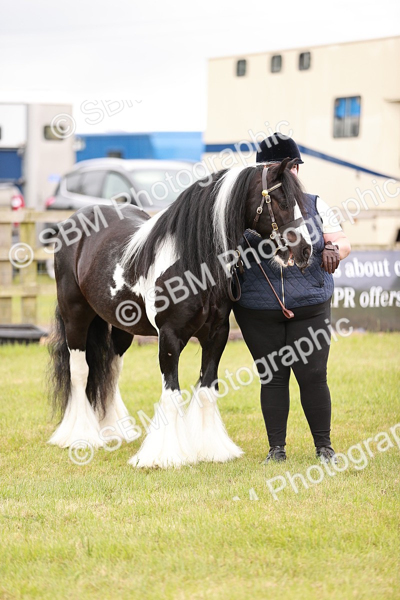 SBM_04665 - Class 5-8 - BSPA In hand