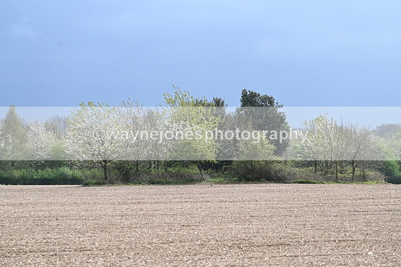 WJ7_3158 - Group 6