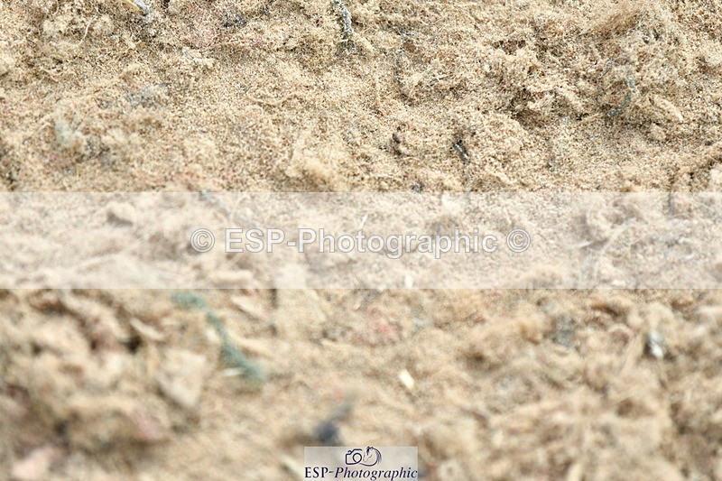 230721A-101228-05028 - Cls 30, 6 Yr Olds 1.20m