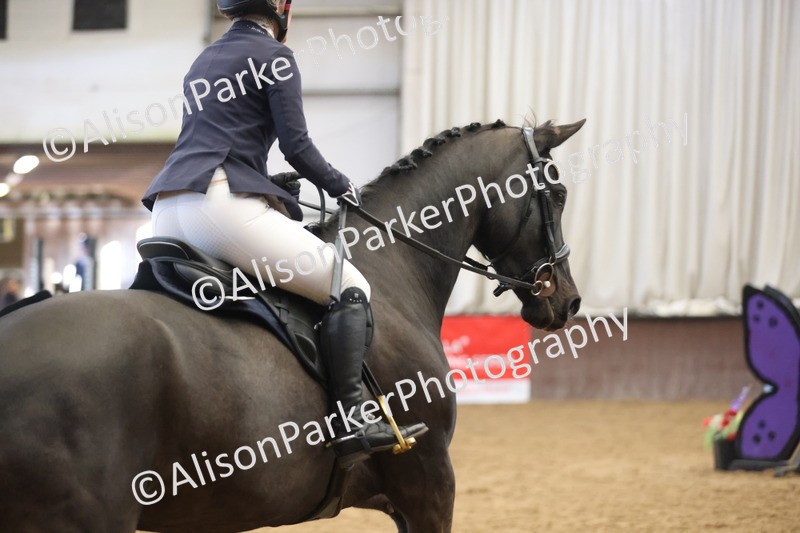 20260314-5461 - 80cm