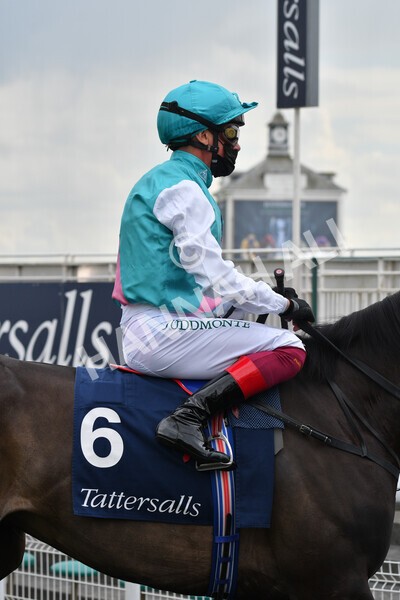 yr12052021r4-3 - Race 4 3.10pm Tattersalls Musidora Stakes