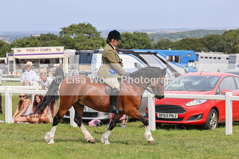 IMG_3726 - M & M Ridden Championship