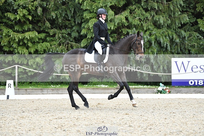 230525-142327-03138 - 320-CAVALIER_GUNFIRE-Tabitha_Baker-WEDTrotUp+DR