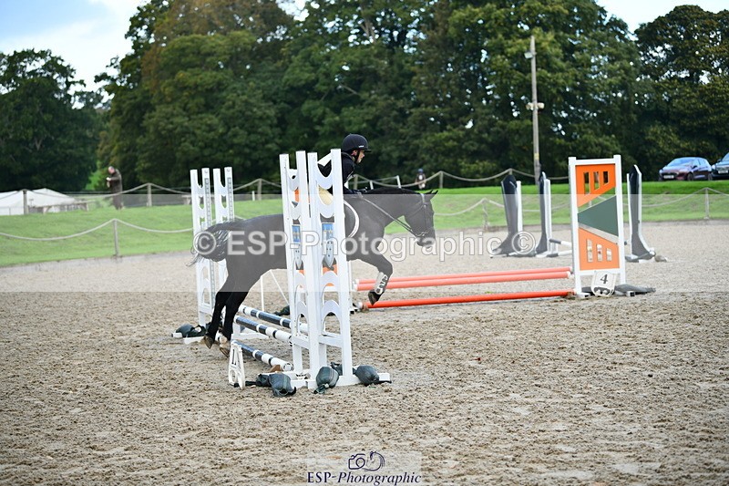 251004A-100312-00343 - Classes 1-2-3 40cm