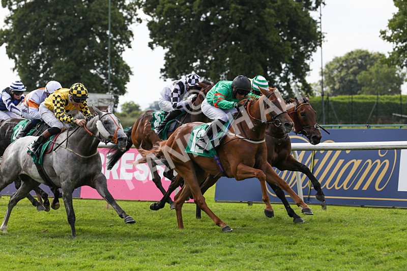 240624-Race 6-Profiteer-0430 - Race 6