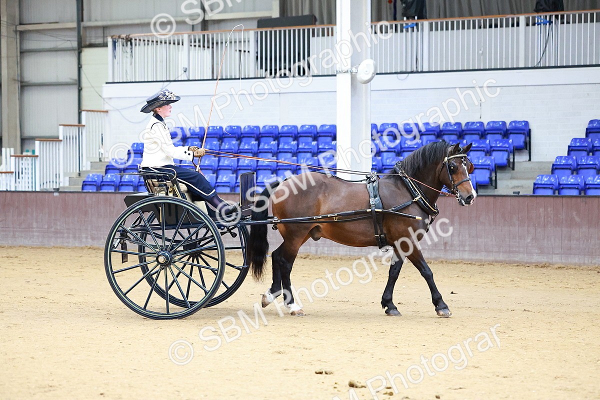SBM_000120 - Class 3 - Alison Thomas Memorial Lady Whip