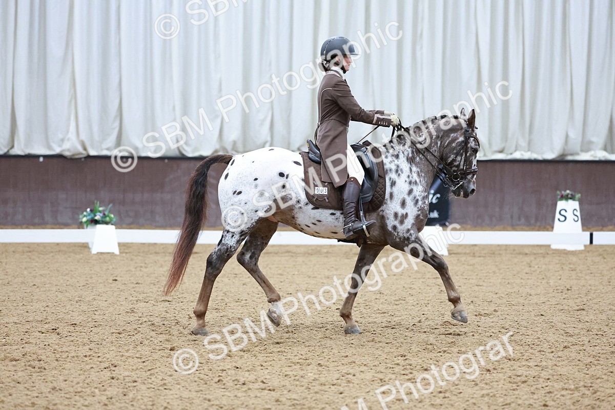 SBM_021348 - Class 14 - FEI Grand Prix - 17.40-18.34
