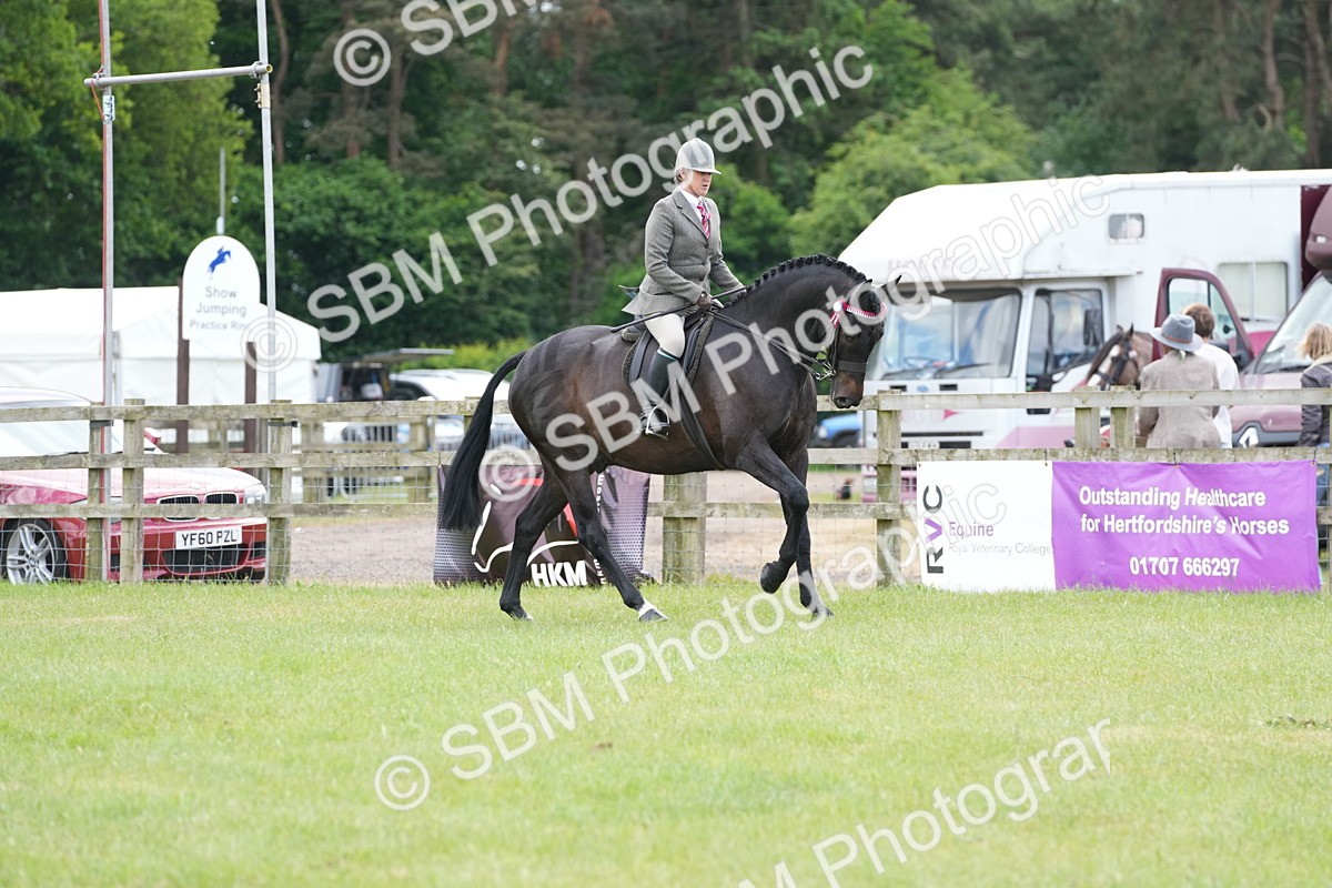 SBM_16168 - Class 105-106 - RIHS Riding Horses