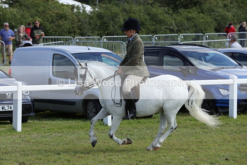 1X9A5714 - Class 40: NPS Welsh A & B