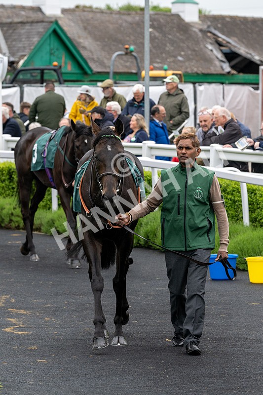 230524-Race 3-See The Green-1374 - Race 3