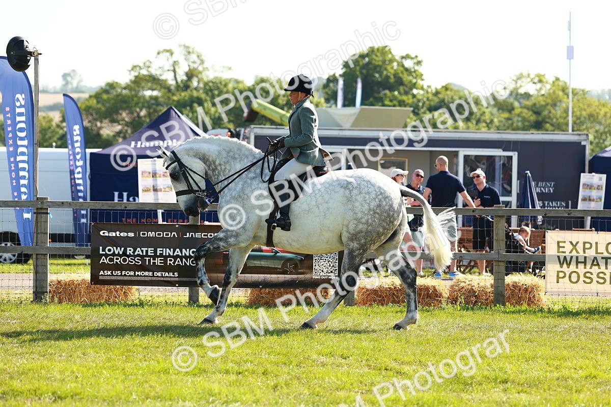 SBM_11783 - Class 66-69 - RIHS Ridden Hunters Inc Small Hunter