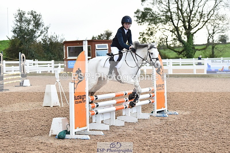 231029A-111530-02601 - Pony British Novice & 80cm Open