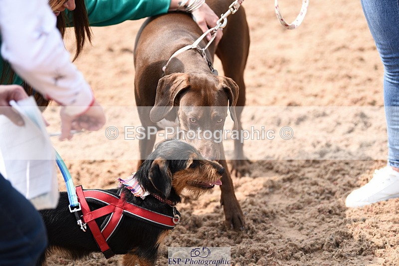 240518A-114654-00825 - Cls 2 Prettist Bitch