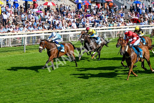 110725-Race 6-Brazen Bolt-0497 - Race 6 5.07pm William Hill Keep Your Raceday Positive Handicap