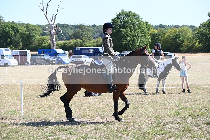 WJ6_8360 - Class 37a Best Loan Pony Ridden