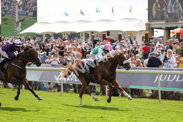 yr17082022r2-26 - Race 2 2.25pm Tattersalls Acomb Stakes