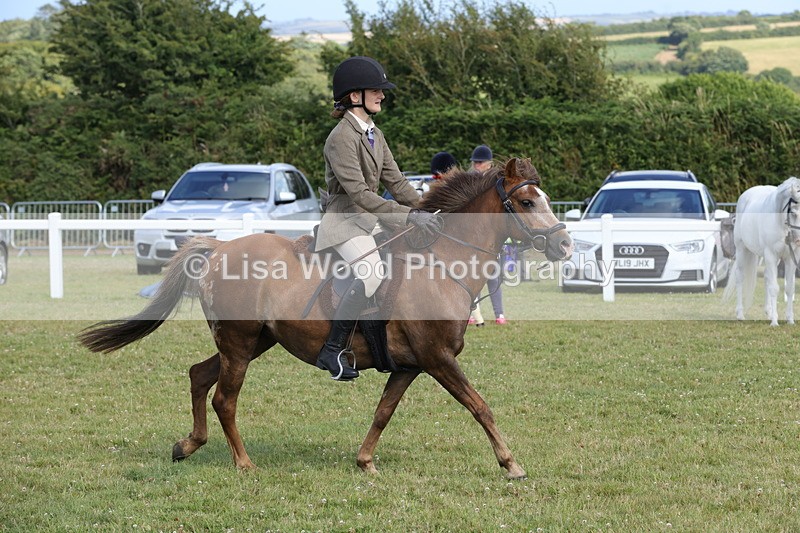 1X9A5787 - Class 40: NPS Welsh A & B
