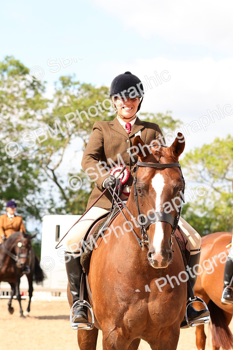 SBM_13569 - Class 212 - Ridden Hunter  - Large