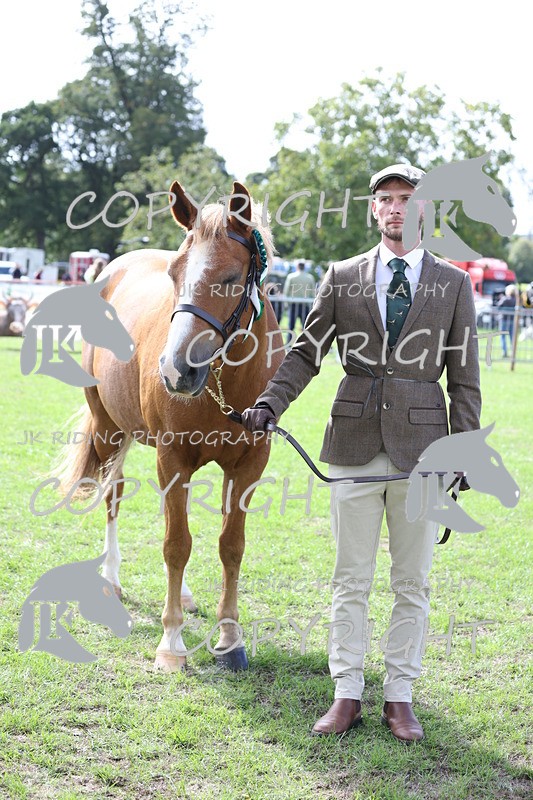 APP_2994 - Class 10a/b M&M in hand