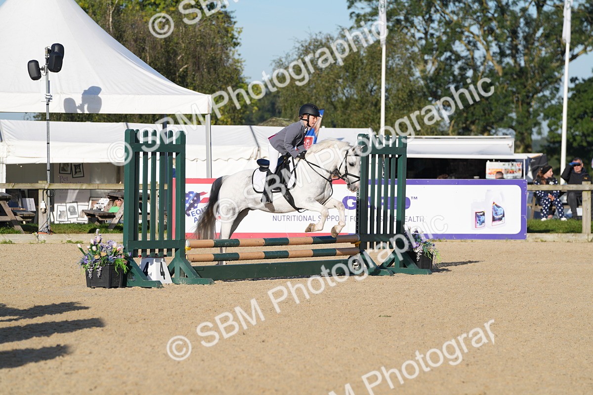 SBM_34351 - J62 - Clear Round 50cm