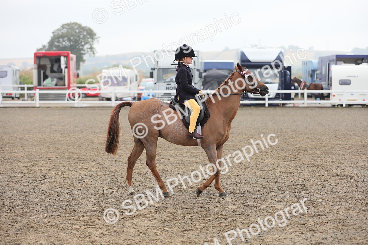 SBM_21706 - Class 806 - Young ridder 10 Yr & Under