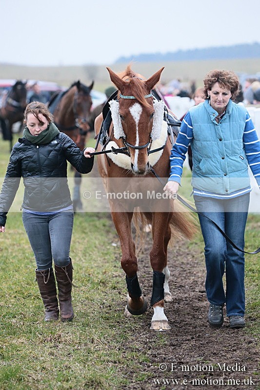 PtP 170219 -147 - Combined Services Point-To-Point Larkhill 17/02/19