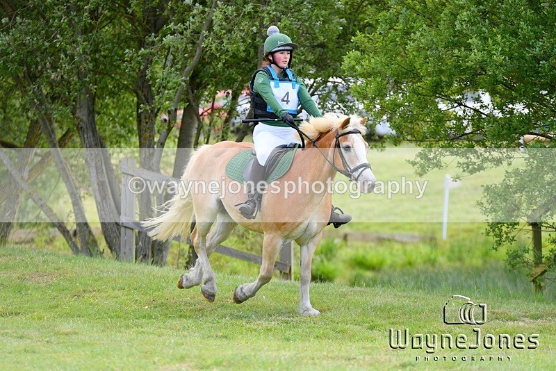 WJ5_2333 - Edited examples
