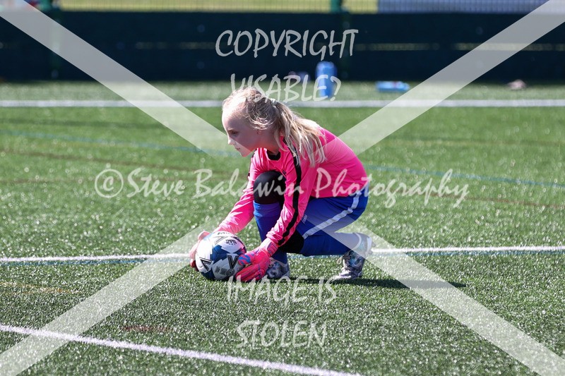 1DX33428 - Sat 13th U7 & U8 Girls