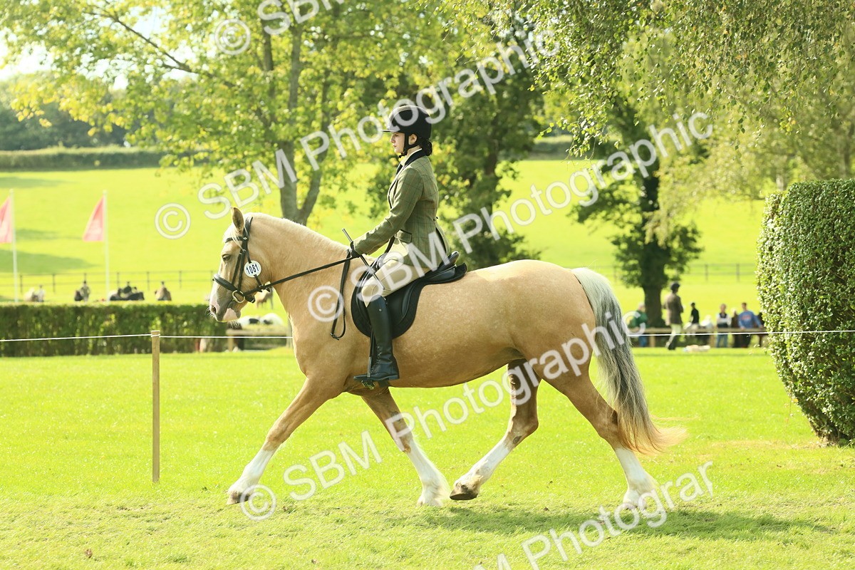 SBM_62652 - S63 - Other Coloured Horse Ridden