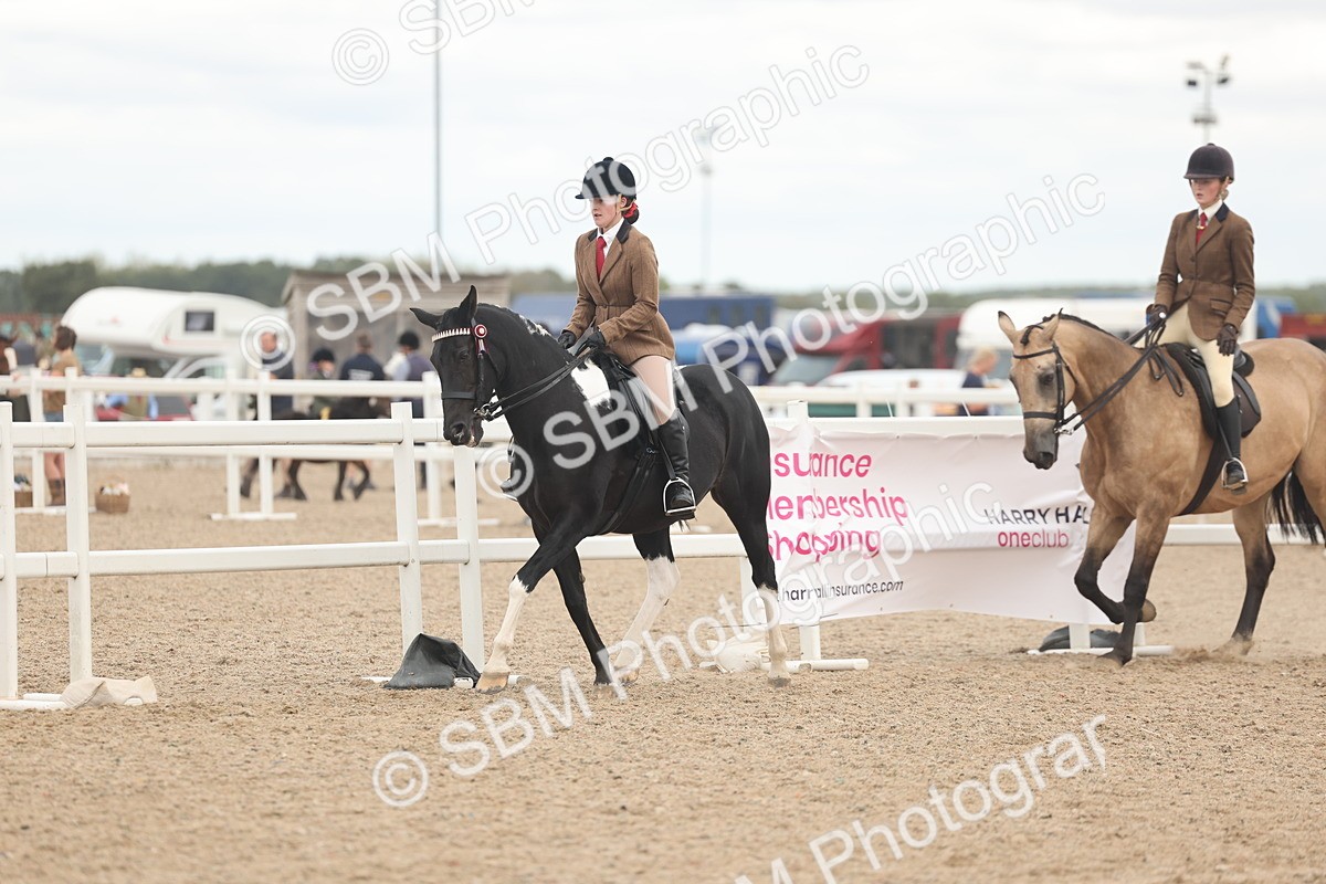 SBM_18150 - Class 315 - Best Horse-Rider Combination