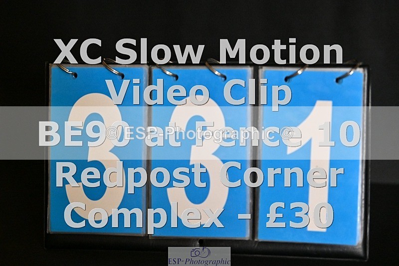 ESP_331 - 331-Amber.Williams-COSMIC.MIKADO