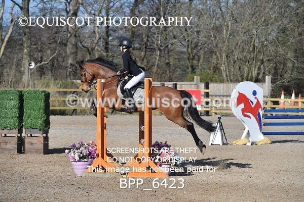 BPP_6423 - CLASS 10 SUN Newcomers/ 1m Open