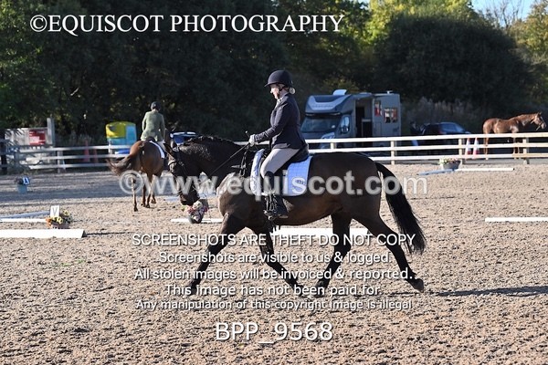 BPP_9568 - LONG ARENA