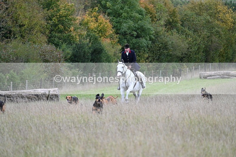 WJ7_3551 - Camera 1 Line 1