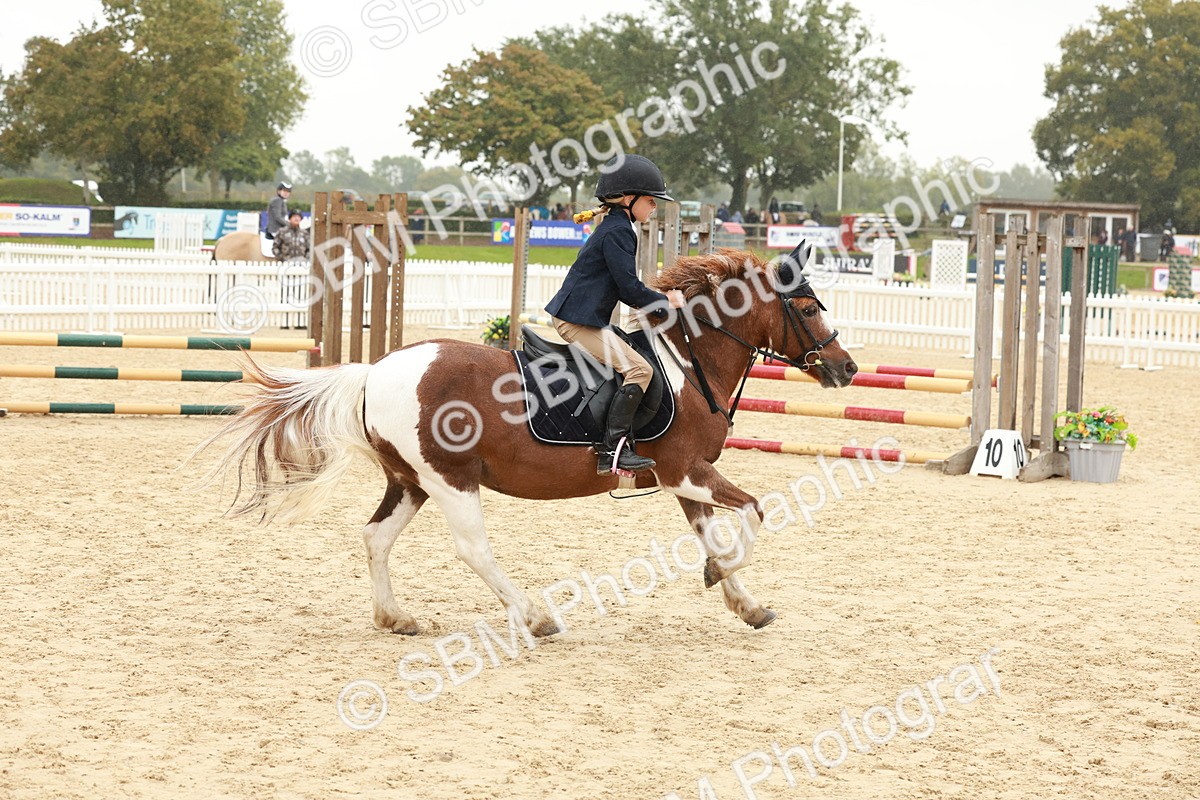 SBM_71073 - J14 - Junior Pony 65cm Championship