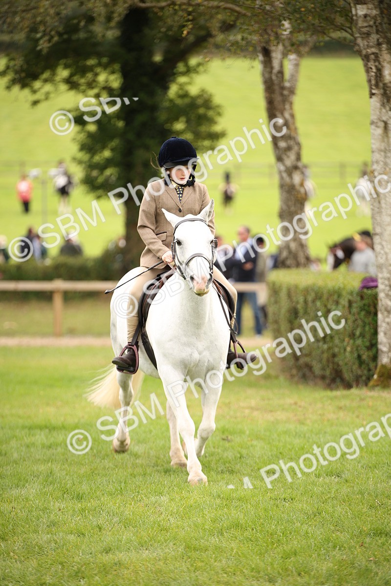 SBM_72370 - S67 - Show Cob Ridden