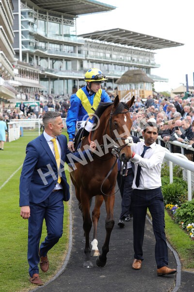 yr12052022r4-33 - Race 4 3.35pm Al Basti Equiworld Dubai Dante Stakes