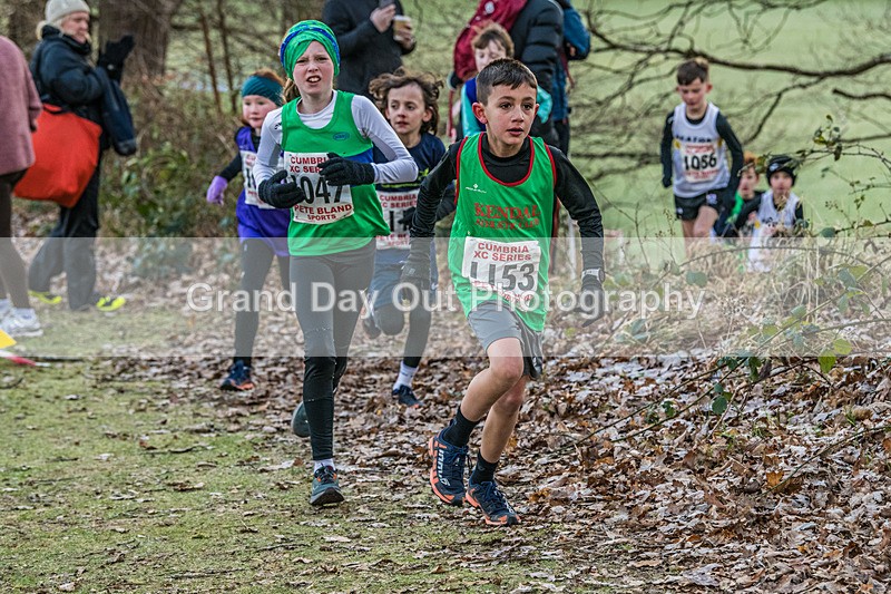Cumbria XC-50 - Cumbria Cross Country Championships (Junior & Senior Races) Saturday 3rd January 2026