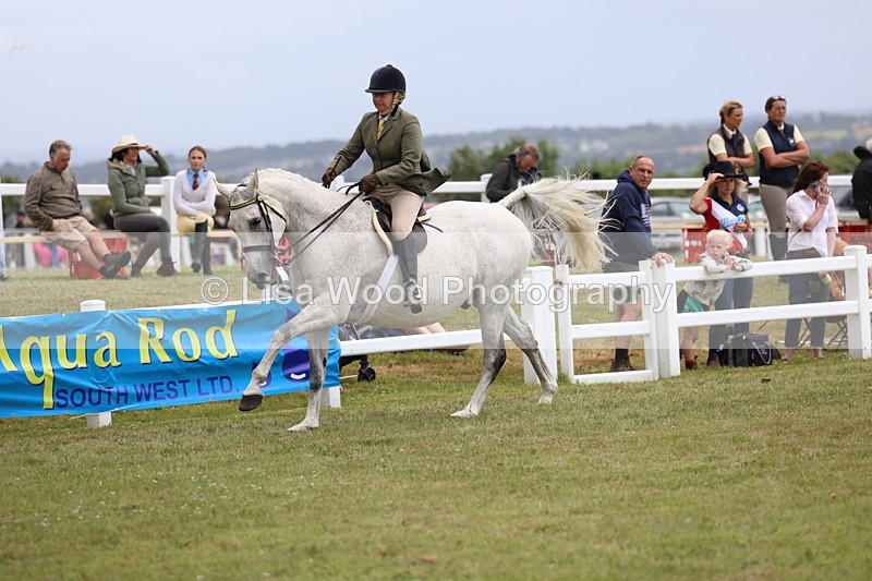 3E7A1020 - Class 8: Open Riding Horse/Hack