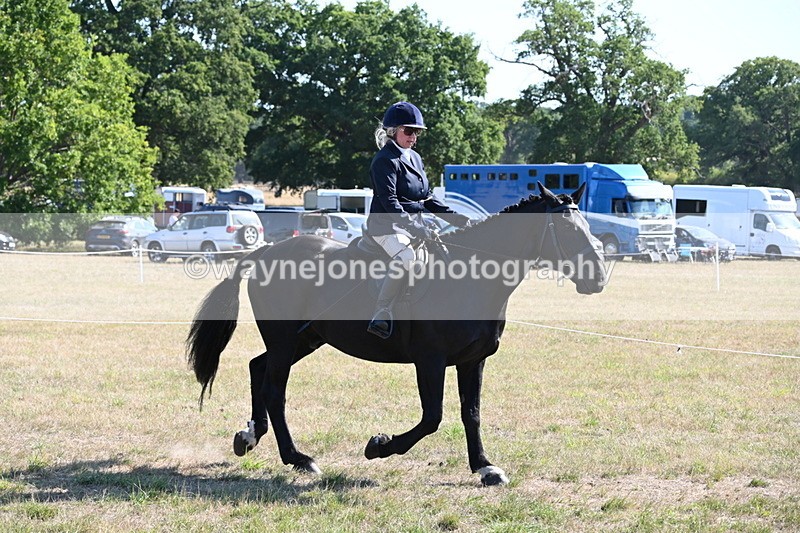 WJ6_7466 - Class 34 Judges Choice