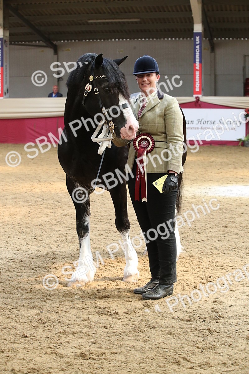 SBM_05423 - Class 8R - Regional IH Veteran