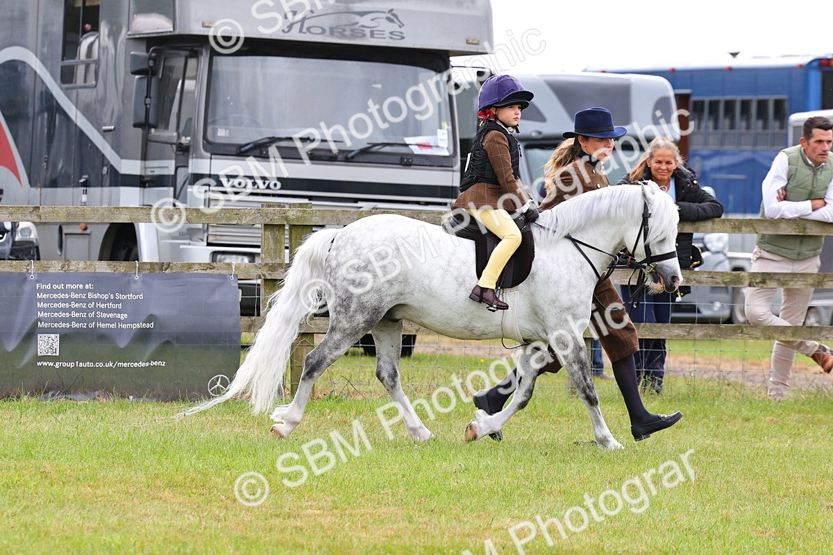 SBM_08253 - Class 42-43 - LIHS BSPS Heritage Working Sports Pony