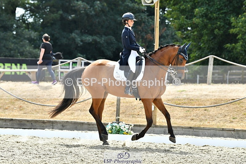 260802A-153512-07517 - Intermediate Bronze