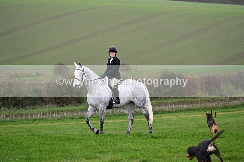WJ7_8839 - Meet Staff & Hounds