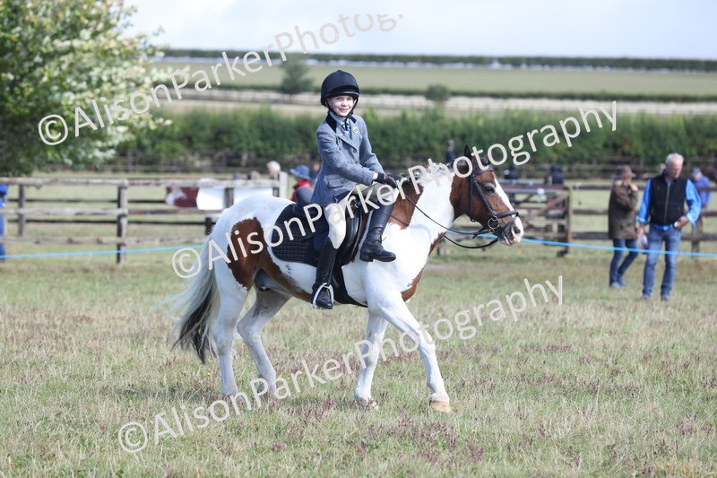 20250831-2471 - Class 16 - Family Pony